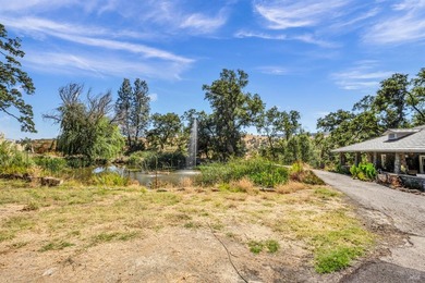 Welcome to Stonehouse Cellars Winery & Bed & Barrel, an - photo 44