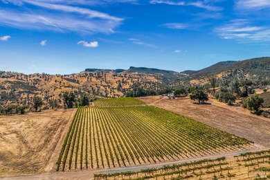 Welcome to Stonehouse Cellars Winery & Bed & Barrel, an - photo 49