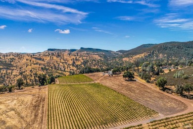 Welcome to Stonehouse Cellars Winery & Bed & Barrel, an - photo 51