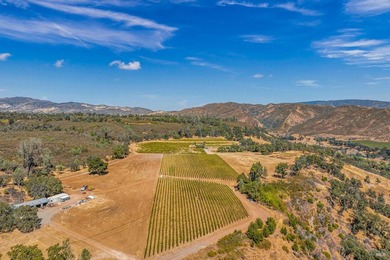 Welcome to Stonehouse Cellars Winery & Bed & Barrel, an - photo 53