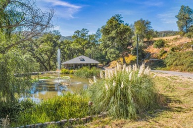 Welcome to Stonehouse Cellars Winery & Bed & Barrel, an - photo 54