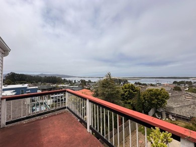 This exceptional coastal estate offers an extraordinary - photo 20