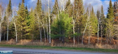 16.27 acres along the Crane Lake Rd, just North of the Nelson Rd - Lake Acreage For Sale in Crane Lake, Minnesota