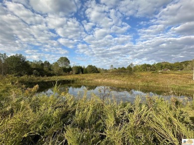 (private lake, pond, creek) Acreage For Sale in Tompkinsville Kentucky