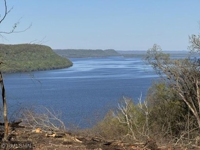 Lake Pepin  Acreage For Sale in Stockholm Wisconsin