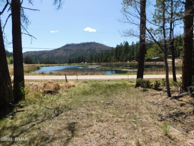 (private lake, pond, creek) Lot For Sale in Alpine Arizona