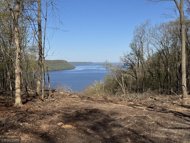This acreage has the most amazing elevated views (see photos) of - photo 2