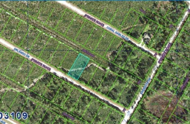 Lake Lot For Sale in Lake Wales, Florida