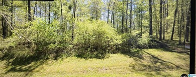Lay Lake Lot For Sale in Sylacauga Alabama
