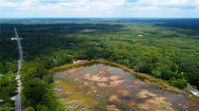 (private lake, pond, creek) Lot For Sale in Webster Florida