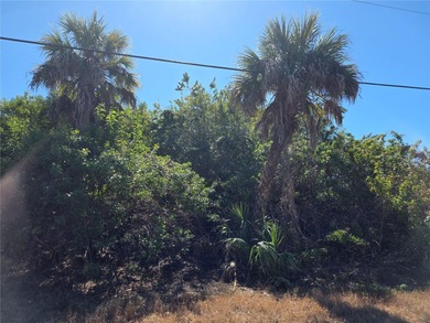 Lake Lot For Sale in Port Charlotte, Florida