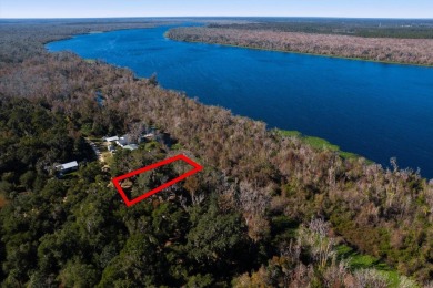 Lake Lot For Sale in Satsuma, Florida