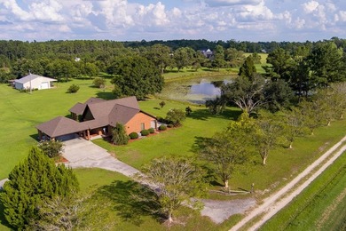 (private lake, pond, coastal) Home For Sale in Hahira Georgia