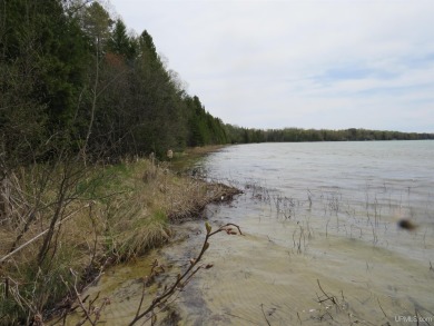 North Manistique Lake Acreage For Sale in Mcmillan Michigan
