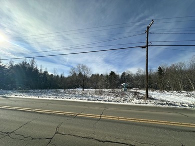Discover the potential of this 16.8-acre lot located just 4.5 - photo 3