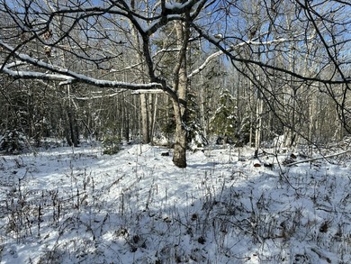 Discover the potential of this 16.8-acre lot located just 4.5 - photo 5