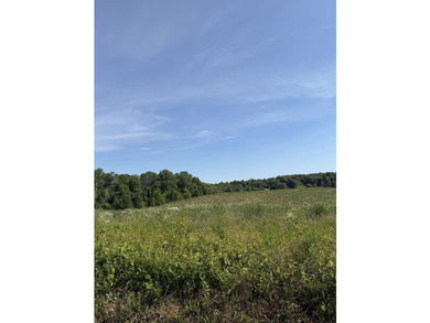 Welcome to Petty Rd Lot 12A. This beautiful level and clear - photo 1