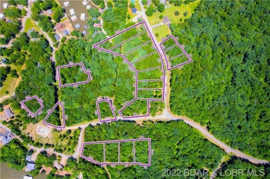 Lake Acreage Off Market in Climax Springs, Missouri