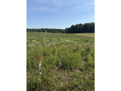 Welcome to Petty Rd Lot 12B. This beautiful level and clear - photo 1