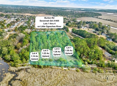 Marsh Front Lots on the Little Ogeechee River and Tidal-Fed Pond - photo 3