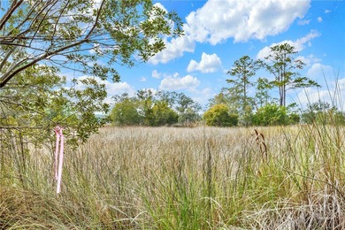 Marsh Front Lots on the Little Ogeechee River and Tidal-Fed Pond - photo 6