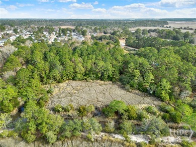 Marsh Front Lots on the Little Ogeechee River and Tidal-Fed Pond - photo 8
