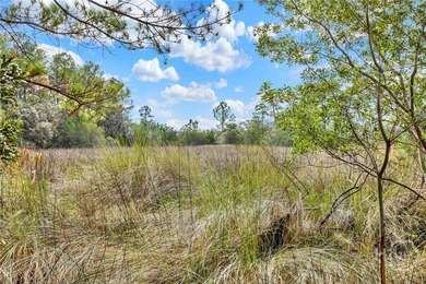 Marsh Front Lots on the Little Ogeechee River and Tidal-Fed Pond - photo 10