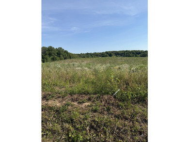 Welcome to Petty Rd Lot 12C. This beautiful level and clear - photo 1