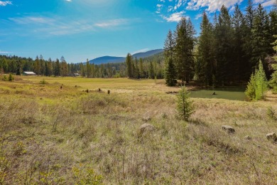 (private lake, pond, creek) Acreage For Sale in Libby Montana