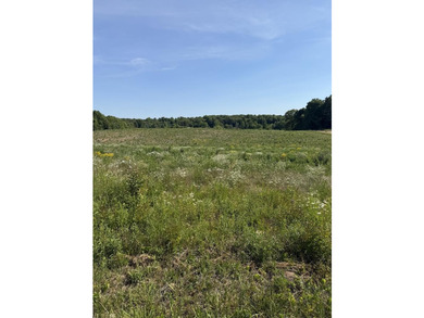 Welcome to Petty Rd Lot 12D. This beautiful level and clear - photo 1