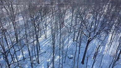 Lake Lot For Sale in Winn, Maine