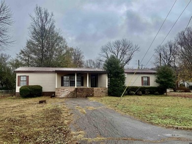 Lake Home For Sale in Hornbeak, Tennessee