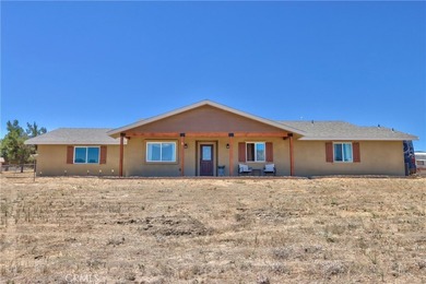 42385 Roundup - photo 3