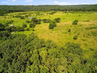 99 Acres M/L in Ozark County, MO - Borders 2,500+ Acres of - photo 12