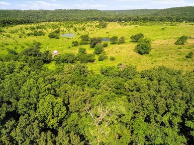 99 Acres M/L in Ozark County, MO - Borders 2,500+ Acres of - photo 13