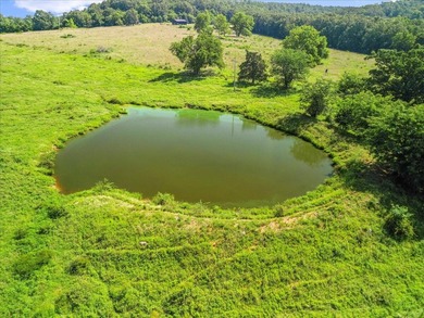 99 Acres M/L in Ozark County, MO - Borders 2,500+ Acres of - photo 14