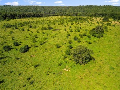99 Acres M/L in Ozark County, MO - Borders 2,500+ Acres of - photo 15