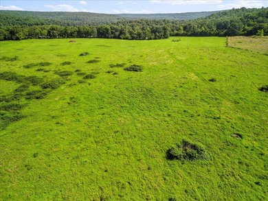 99 Acres M/L in Ozark County, MO - Borders 2,500+ Acres of - photo 16