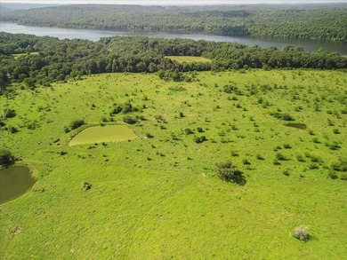 99 Acres M/L in Ozark County, MO - Borders 2,500+ Acres of - photo 18