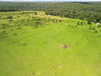 99 Acres M/L in Ozark County, MO - Borders 2,500+ Acres of - photo 21