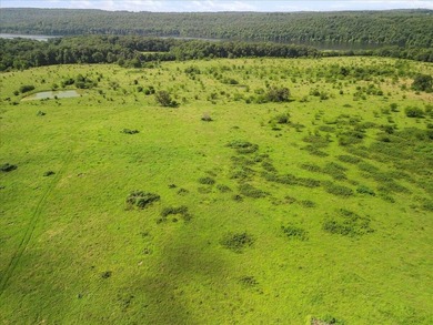 99 Acres M/L in Ozark County, MO - Borders 2,500+ Acres of - photo 22