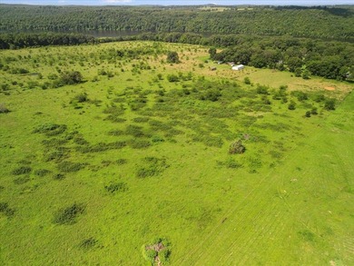 99 Acres M/L in Ozark County, MO - Borders 2,500+ Acres of - photo 23