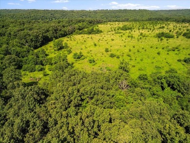 99 Acres M/L in Ozark County, MO - Borders 2,500+ Acres of - photo 24