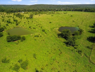 99 Acres M/L in Ozark County, MO - Borders 2,500+ Acres of - photo 26