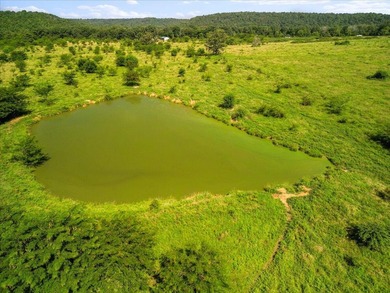 99 Acres M/L in Ozark County, MO - Borders 2,500+ Acres of - photo 27