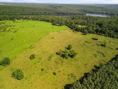 99 Acres M/L in Ozark County, MO - Borders 2,500+ Acres of - photo 29
