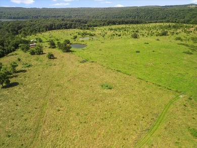 99 Acres M/L in Ozark County, MO - Borders 2,500+ Acres of - photo 32