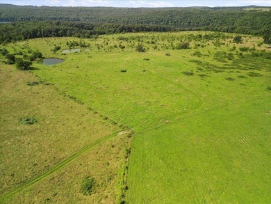 99 Acres M/L in Ozark County, MO - Borders 2,500+ Acres of - photo 33