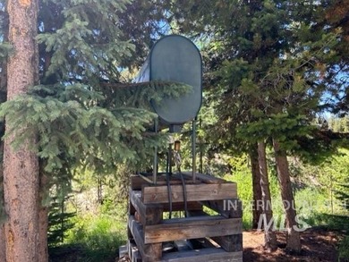 Stunning Dixie Idaho home on .918 acres in town but secluded - photo 33