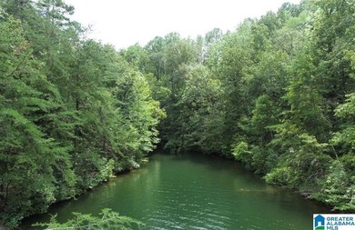 Beautiful 1 acre lot on the south end of Lake Wedowee, in gated - photo 4